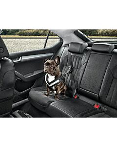 Skoda Hundeschutzgurt Größe M - mittelgroße Hunde Gurt Anschnallgurt Hundegurt 000019409B