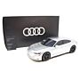 Original Audi RS e-tron GT 1:18 Modellauto Matt Verchromt Miniatur 1/18 Chrom