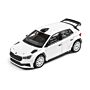 Skoda Fabia RS Rally2 1:43 Modellauto Miniatur 1/43 Asphalt Reifen 6U0099300AB