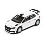 Skoda Fabia RS Rally2 1:43 Modellauto Miniatur 1/43 Gravel Reifen 6U0099300AC