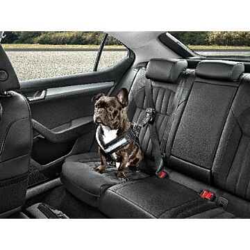 Skoda Hundeschutzgurt Größe M - mittelgroße Hunde Gurt Anschnallgurt Hundegurt 000019409B